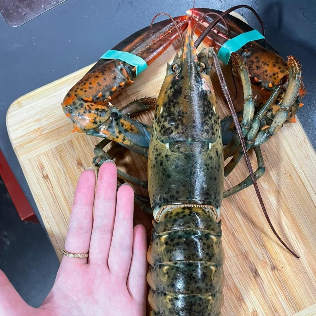 Wie Hummer zur Delikatesse wurden - und wie Sie sie perfekt genießen ohne gegen die Schale zu kämpfen