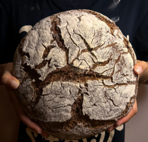 Warum Fast Food und Zucker das wahre Problem sind und wie die HOMELUX Heißluftfritteuse Ihnen hilft