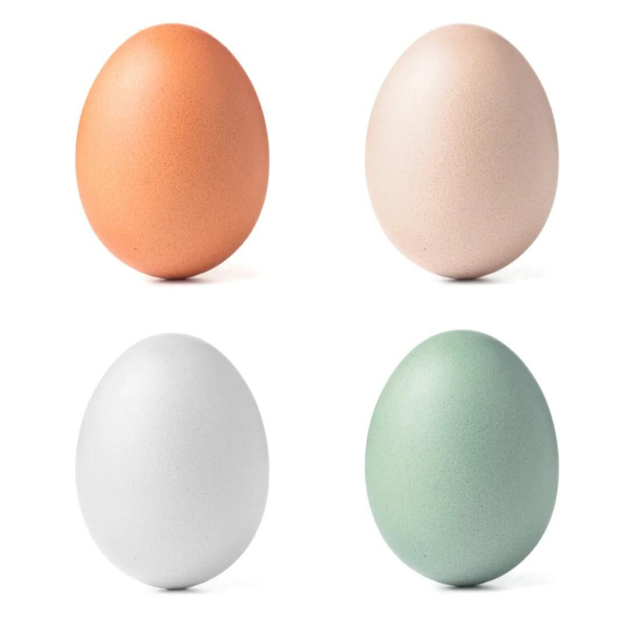 What is the difference between white eggs and brown eggs? 