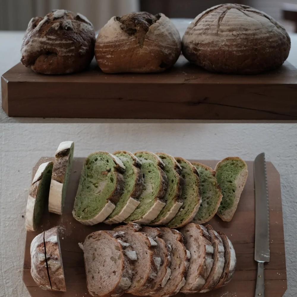 Warum wird geschnittenes Brot schnell schimmelig?