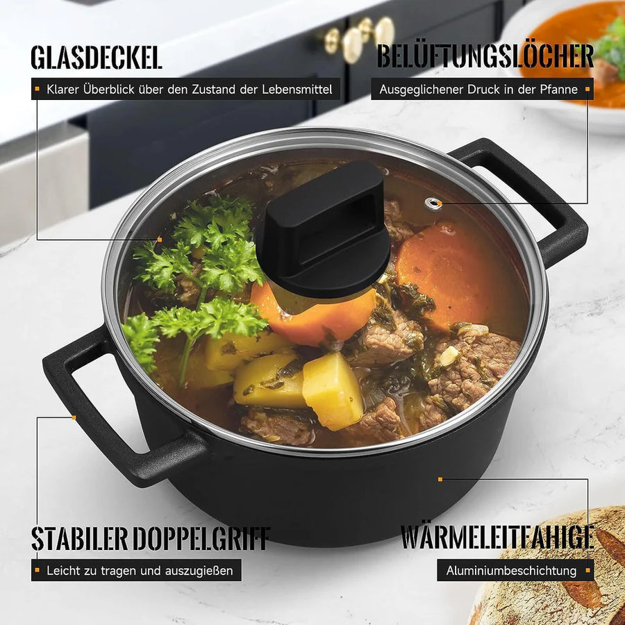 Homelux cooking pot - versatility for every type of stove 