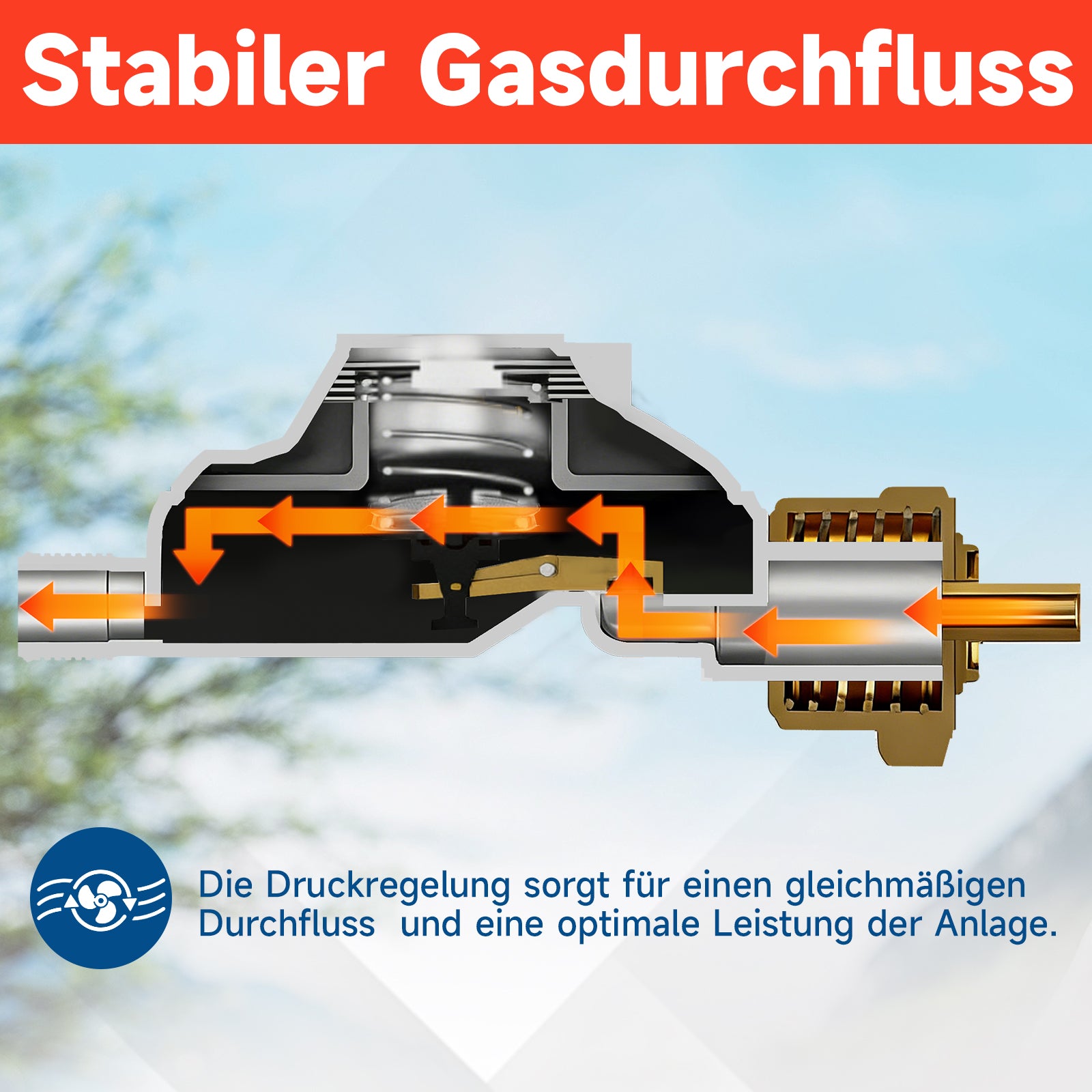Hochwertiges Gasdruckminderer-Set 50 mbar mit 1,5m flammhemmendem Gasschlauch