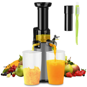 HOMELUX Slow Juicer Kaltpress Entsafter 120W 55 U/min, 85% Saftausbeute, leise 55dB, Kompakt, Leicht zu reinigen, Rückwärtsfunktion