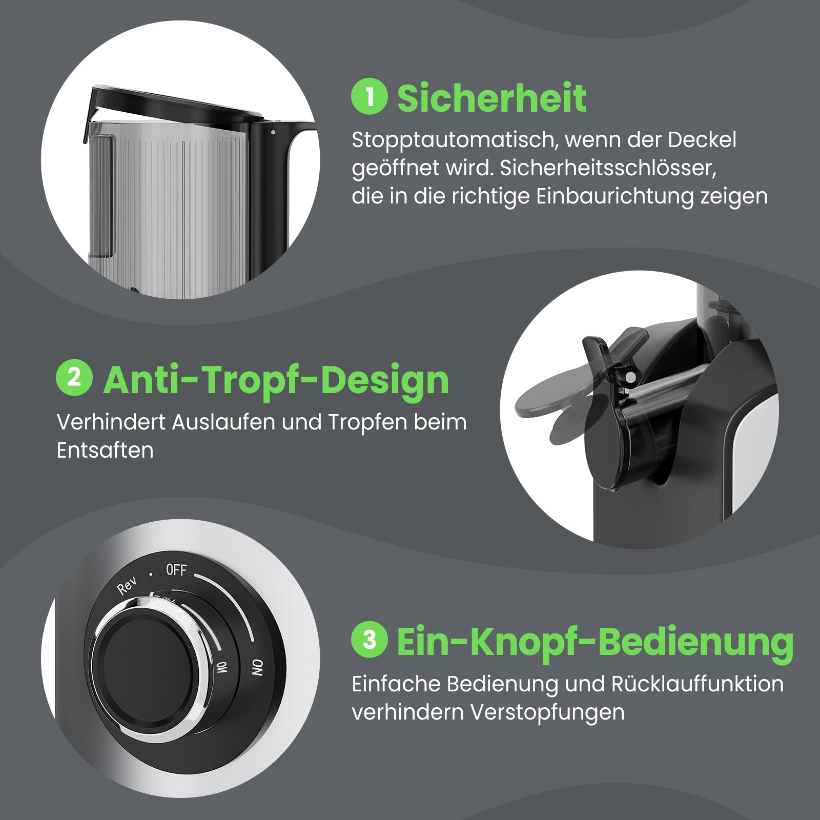HOMELUX Slow Juicer 220W, 126mm XXL Einfüllschacht für Ganze Früchte, Elektrischer Entsafter Kaltpresse mit 2 Bechern