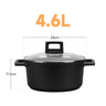 24cm - 4.6L